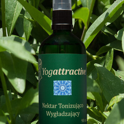 MGIEŁKA - NEKTAR TONIZUJĄCO-WYGŁADZAJĄCY – 90 ML