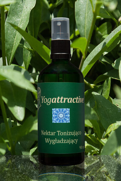 MGIEŁKA - NEKTAR TONIZUJĄCO-WYGŁADZAJĄCY – 90 ML