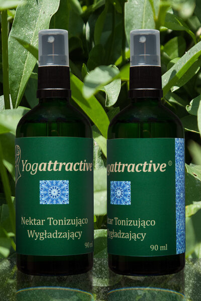 MGIEŁKA - NEKTAR TONIZUJĄCO-WYGŁADZAJĄCY – 90 ML - obrazek 2